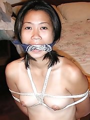 Insatiable 97 - Tapegagged Asians